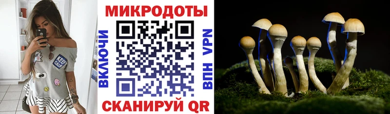Галлюциногенные грибы прущие грибы  даркнет сайт  Отрадная 